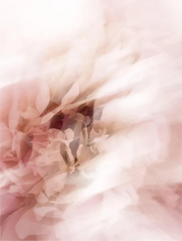 Protector solar en barra ANESI SCANDINAVIA™ SPF50: protección mineral invisible para todo tipo de piel